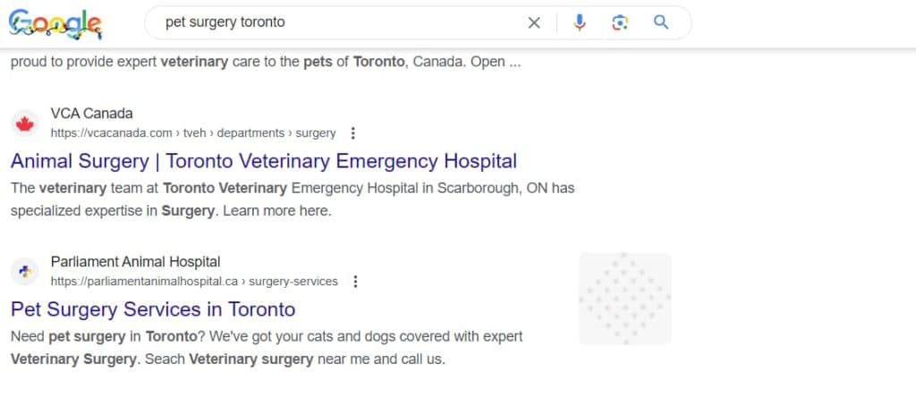 Google search listing for Parliament Animal Hospital pet surgery in Toronto