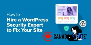 hire-a-wordpress-security-expert-to-fix-your-site-og