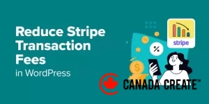 reduce-stripe-transaction-fees-og