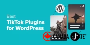 tiktok-plugins-for-wordpress