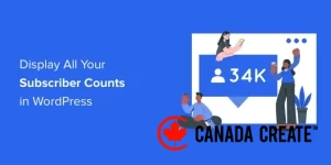 display-all-your-subscriber-counts-in-wordpress-og