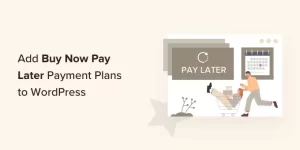 how-to-add-buy-now-pay-later-payment-plans-to-wordpress
