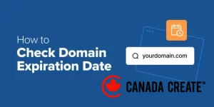 how-to-check-domain-expiration-date-og