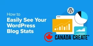 how-to-easily-see-your-blog-stats-og