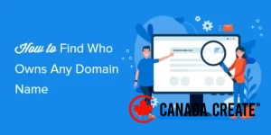 how-to-find-who-owns-domain-name-og