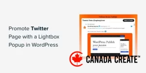 how-to-promote-twitter-page-with-lightbox-popup