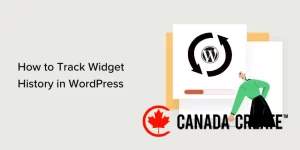 how-to-track-widget-history-in-wordpress-og