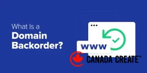 what-is-a-domain-backorder-og