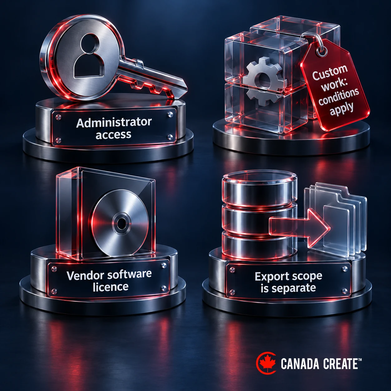Administrator access, conditional custom-work rights and a vendor licence are shown as distinct from export availability.